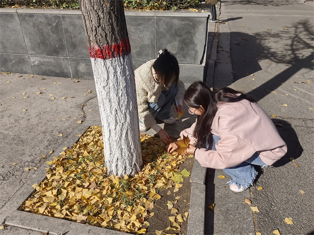 【完满团支部】落叶方可知秋 且听微风徐来——淬炼·国际商学院财务2201班完满团支部活动