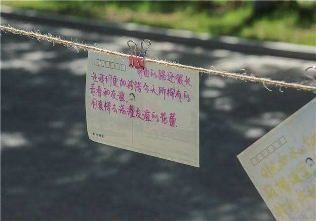 【毕业季】致风华正茂的你我——青藤书院举办“季忆留夏 在下十八”毕业分享会之时光胶囊