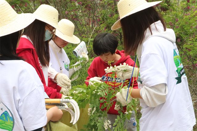 【1＋1＞2】微风吹来野菜香 勤奋劳动最光荣——箕城书院联合食品与环境学院联合举办第一届“野菜节”系列活动