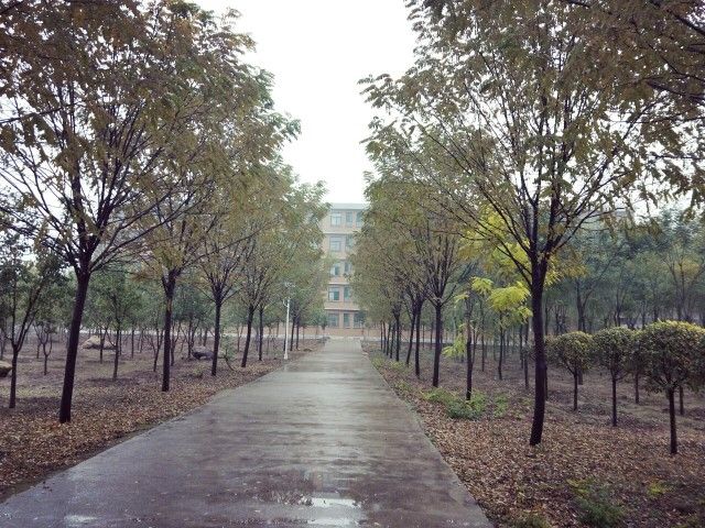 【完满班级】萧瑟寒风起 落叶遍地黄——信工系软件1705班举办完满班级活动