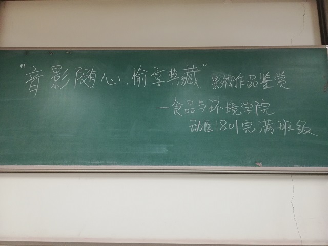 【完满班级】抒一纸华丽影评 谱写青春韶华——食品与环境学院动医1801班举办完满活动