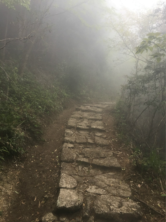 一次革命式的“旅行”——2017年第2期共青团网络新媒体工作培训