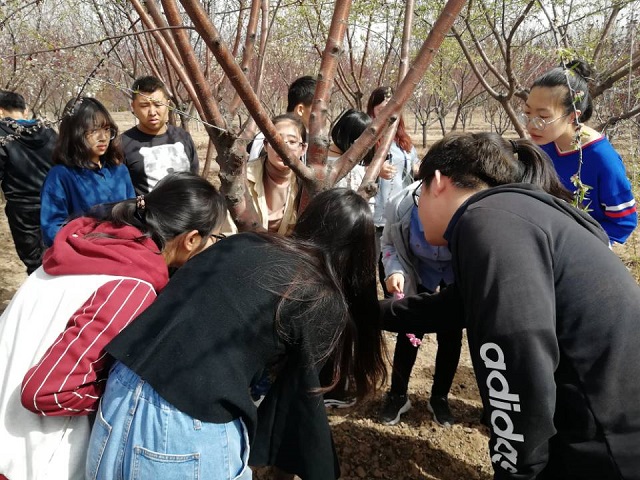【完满班级】汇力凝神 完满园艺——食环院园艺1601班举办农作物鉴赏会完满班级活动
