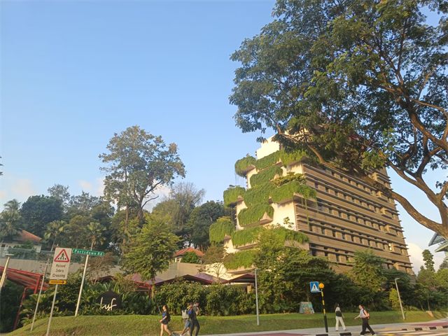 全面把握游学的多重价值——商务英语学院新加坡游学之旅