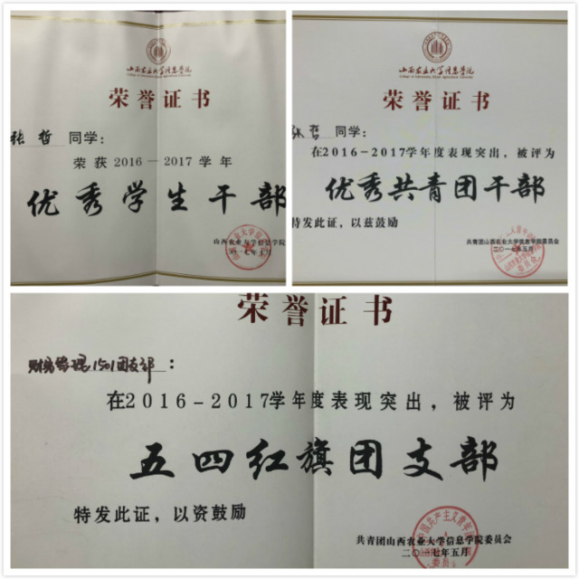 【社团之星·张哲】闪耀社团 “哲”无旁贷