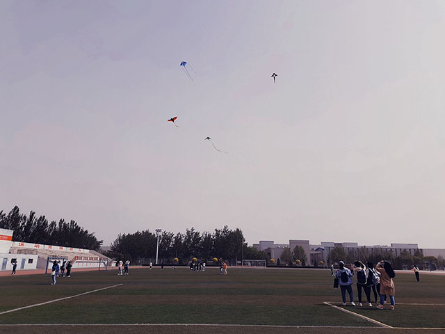 【完满班级】在体育运动中学习女排精神——食品与环境学院园林2001班完满班级活动