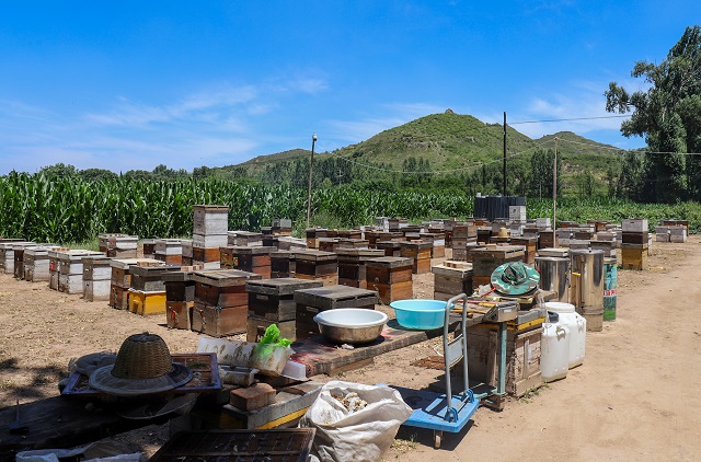 【三下乡】与小李经理畅谈甜“蜜”太谷 “蜂”韵乡村 ——大数据学院、信息工程学院“智·惠农”太谷农高区产业振兴实践团