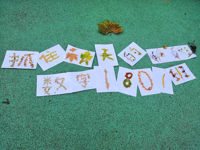 【完满班级】抓住秋天的色彩——数字1801班举办“抓住秋天的色彩”完满班级活动