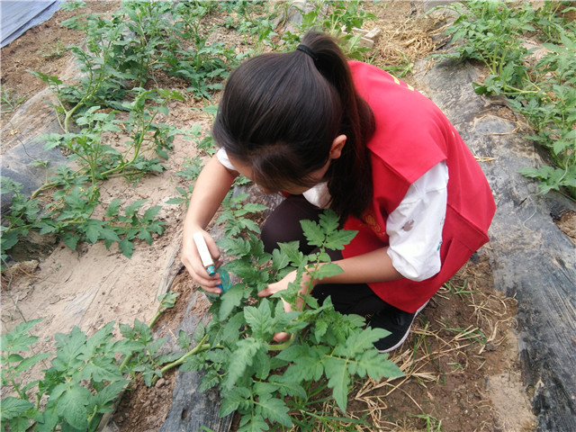 【三下乡】调研大棚  象谷的风景线——机电工程系“机时予”象谷村志愿服务纪实（二）