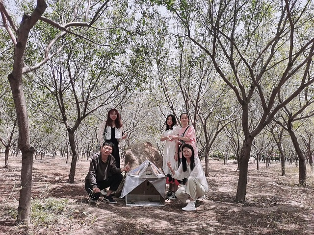 【青马工程】流浪小屋计划 让每一份爱心都得到归属