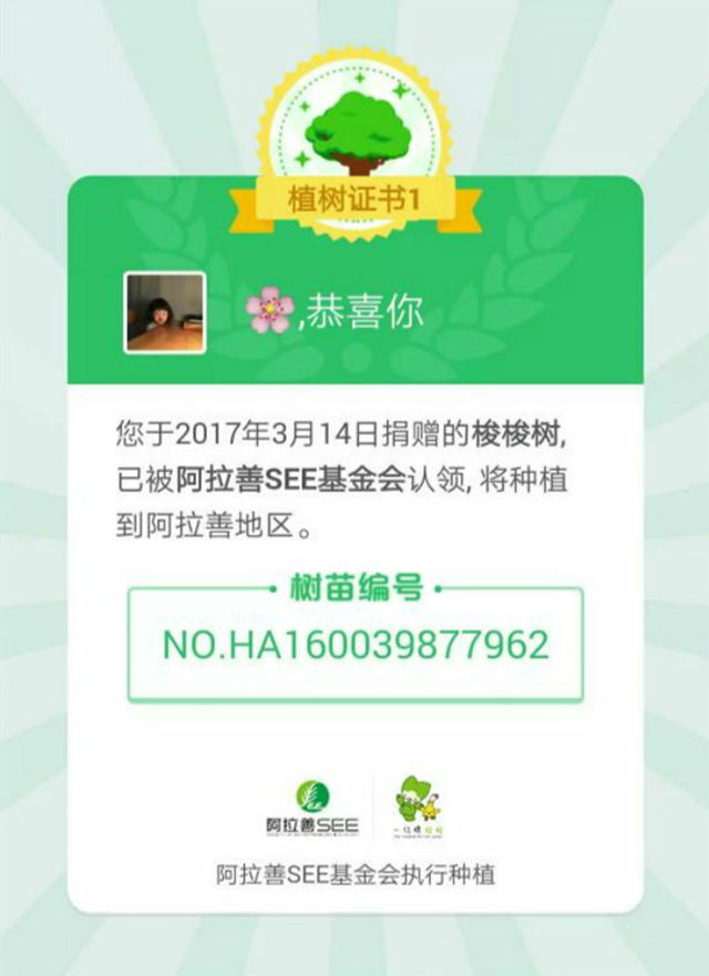 【完满班级】工管学子助力“蚂蚁森林”公益活动走进阿拉善