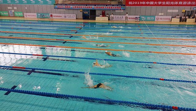 我校游泳队在2019年中国大学生阳光体育游泳比赛中突破自我 “泳”往直前