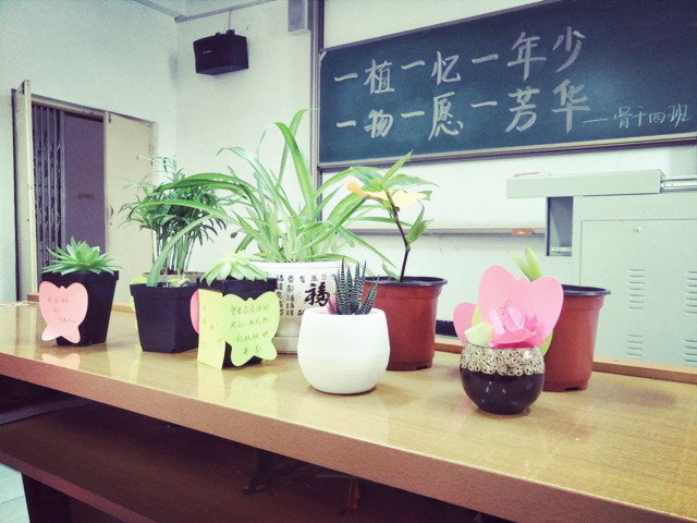【骨干四班】愿初遇的那一株花香 能芬芳你所有的流年——骨干四班开展“绿植寄语”班级活动