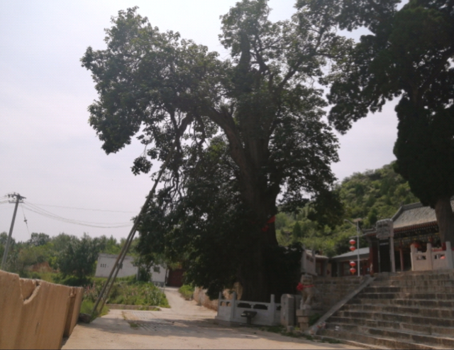 【暑期社会实践】阅中古胜地 活力新富升——大数据学院、信息工程学院第二届“美丽乡村”山西省大学生微电影暨平面摄影作品征集活动