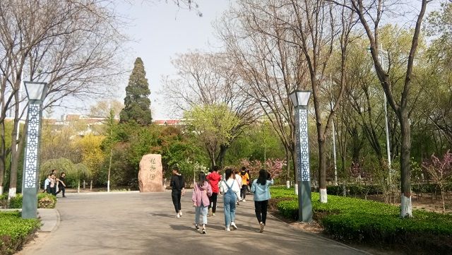 【完满班级】待到青春灿烂 一丝春意拂面 ——食品与环境学院园艺1701班完满班级活动