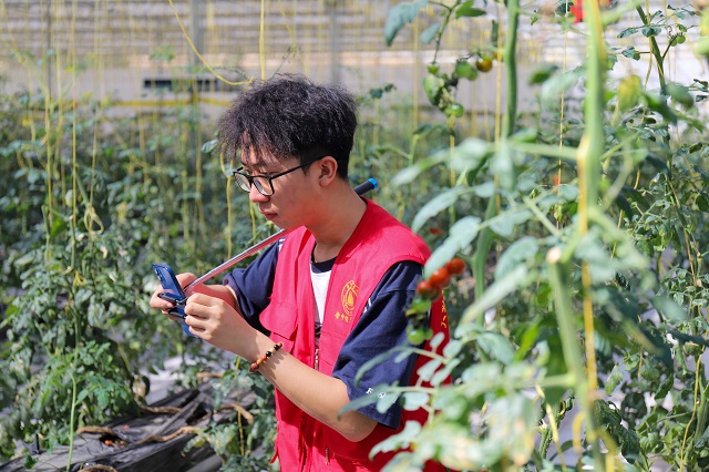 【三下乡】未来农业新模式 一座神奇的“植物工厂”——大数据学院、信息工程学院“智·惠农”太谷农高区产业振兴实践团