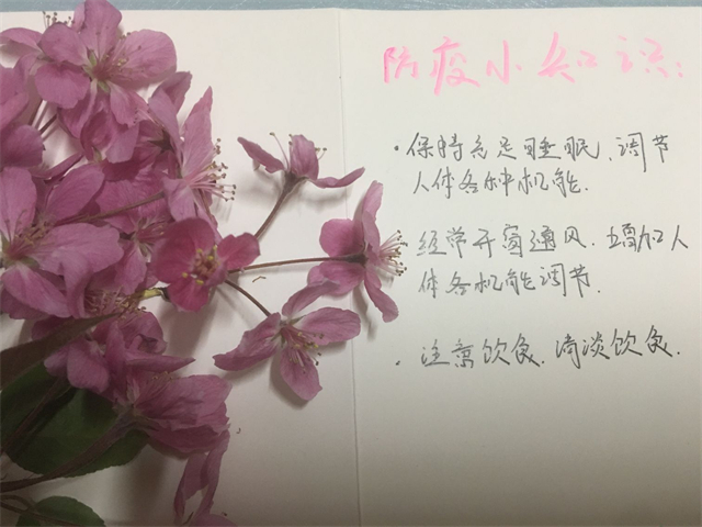暖心工程第489期:朝夕行动·以花传情