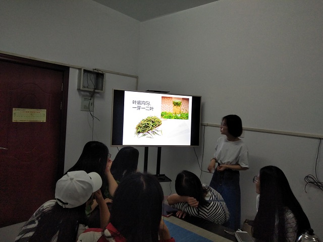 【社团快讯】与白茶相遇——第三届“茶韵箕城 四溢飘香——白茶小课堂”活动