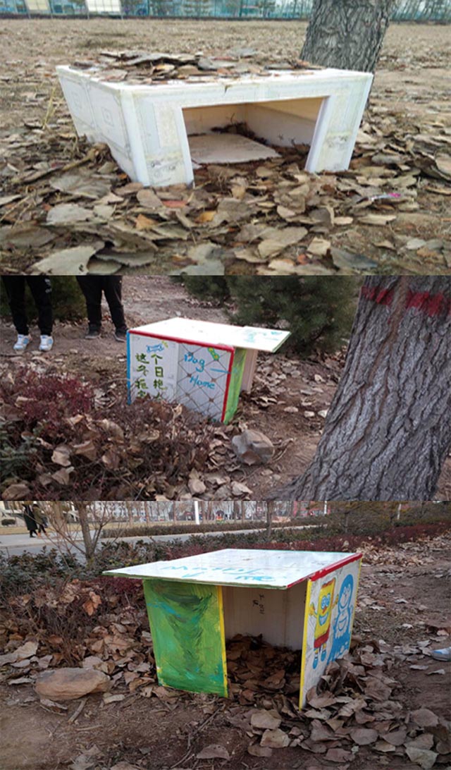 【完满班级】环设1501,1508班完满班级活动