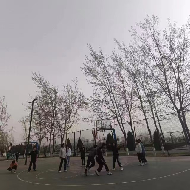 【完满团支部】签下春天的承诺 挥洒青春的汗水——淬炼·国际商学院财务(对口)2205班完满团支部活动
