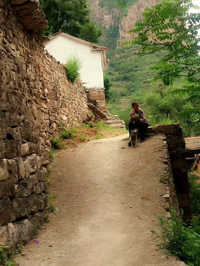 【三下乡】带着温暖与感动  踏上归途——远景学院暑期“三下乡”社会实践活动总结篇