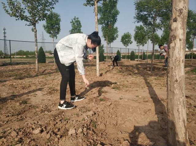 【完满班级】正青春 志愿行——淬炼商学院五月完满班级主题活动（三十二）