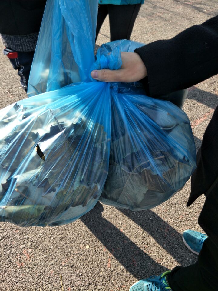 【完满班级】扫秋叶斯 暖阳入心——环境科学与食品工程系食安1701举办完满班级活动