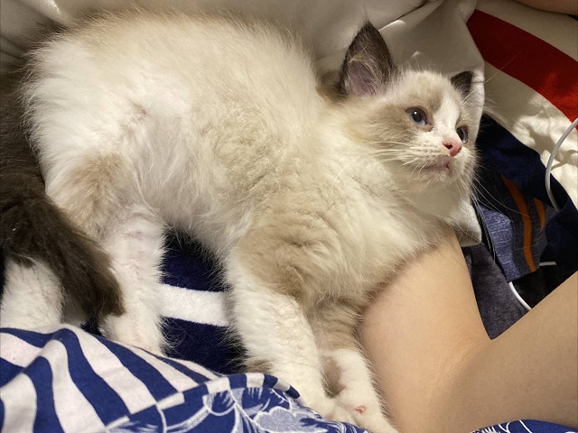 【完满班级】热爱生活 记录美好——食品与环境学院土管1901班完满班级活动