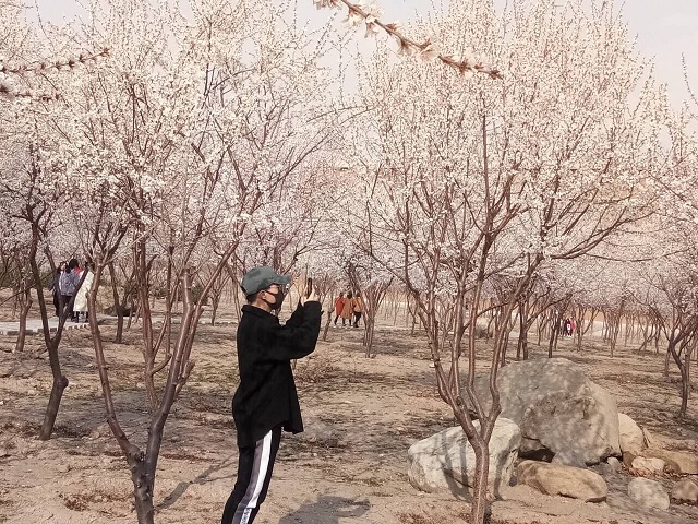 【完满班级】信院花似锦 俱是看花人——经济管理系国贸1703班“我眼中的信院”春季摄影活动