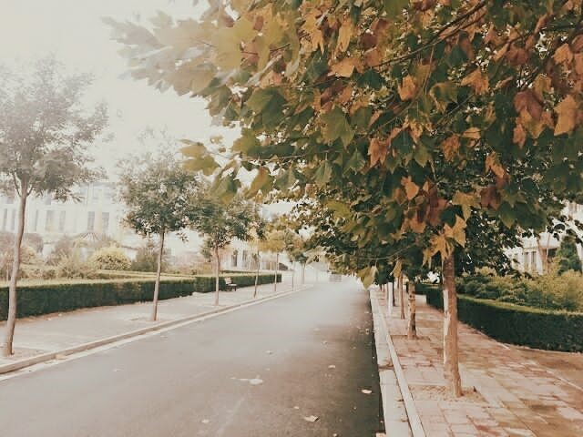 与君度国庆 携手奏华章