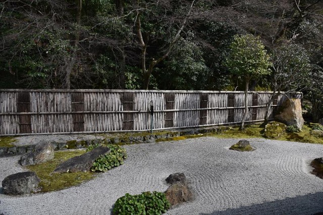 名誉院长与书院学子“云端”相约 共话领导力培育