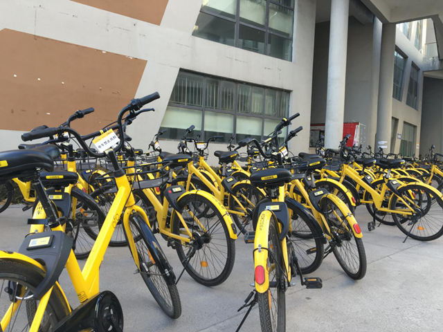 【完满班级】和谐校园 与公益同行——淬炼商学院举办“善行青春”主题活动（五十二）