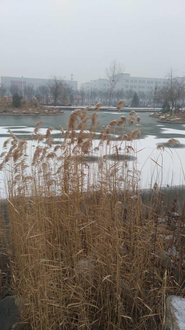 【完满班级】点亮青春赞歌 你是我最好的伴侣——工管系班级系列活动