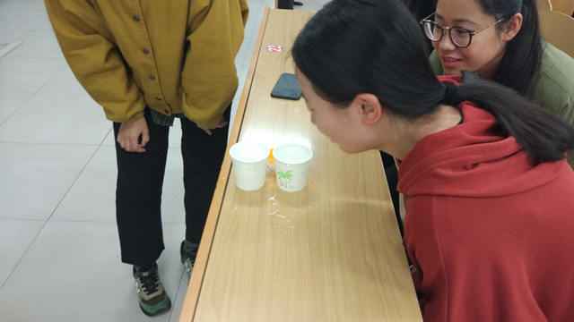 【完满班级】小球转动的青春——经济管理系物流1601班举办完满班级