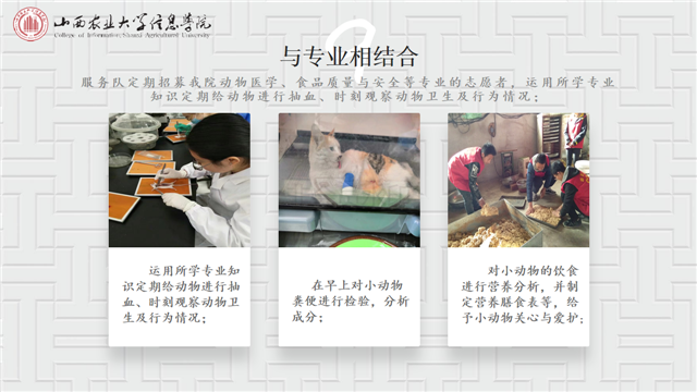 点赞信院志愿者 奉献背后 他们值得最好的舞台