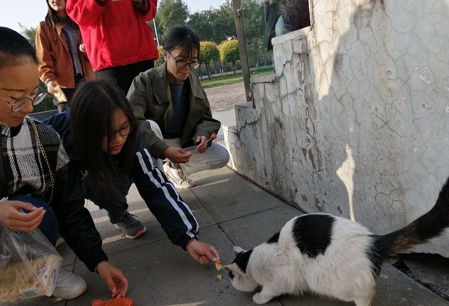 【完满班级】保护动物，共享家园——食品与环境学院生技1901完满班级活动