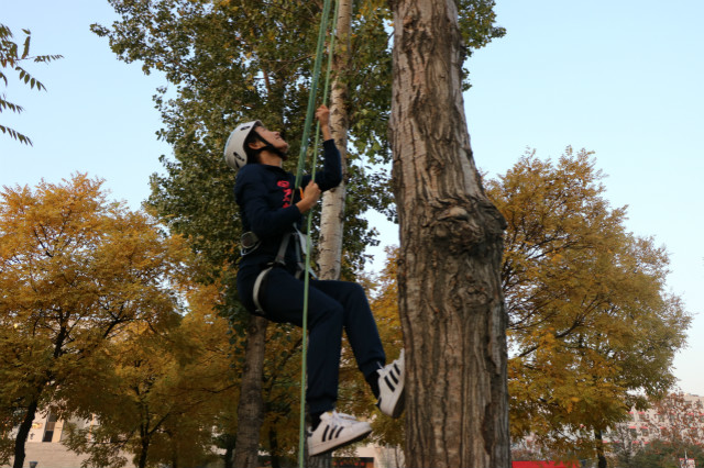 山西高校首次攀树大赛，盛况空前信院创造