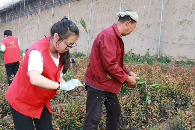 【三下乡】转型升级新方向  助力农谷“北斗星——2017环科系暑期“北斗星”公益实践团南阳村之行（四）”