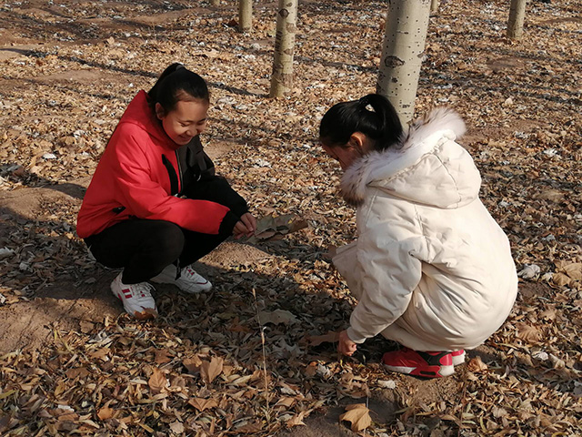 【完满班级】以叶传情,平分秋色——大数据学院、信息工程学院数字1901班完满班级