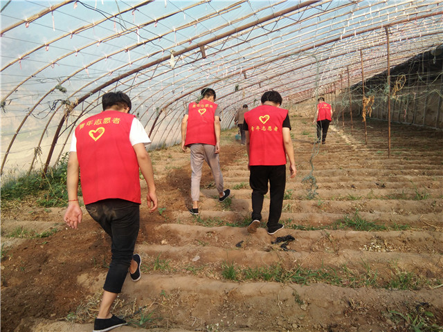 【三下乡】百顷陂田过雨清  新秧漠漠似苔生——机电工程系“机时予”象谷村志愿服务纪实（一）
