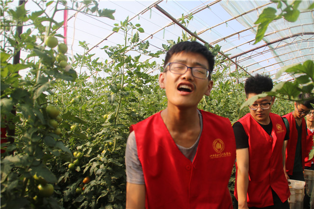 【三下乡】献身大棚  感化每一篇绿茵——机电工程系“机时予”象谷村志愿服务纪实（三）