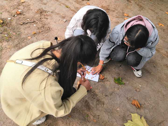 【完满班级】抓住秋天的色彩——数字1801班举办“抓住秋天的色彩”完满班级活动