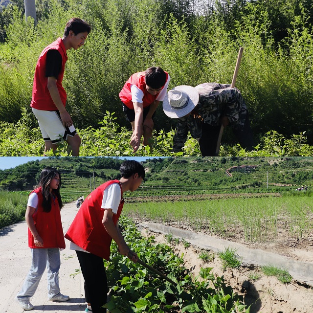 【三下乡】进田间地头·种植员张春明与“新”农来堡的十年相依——经济与管理学院“经”缘晋乡实践团助农篇