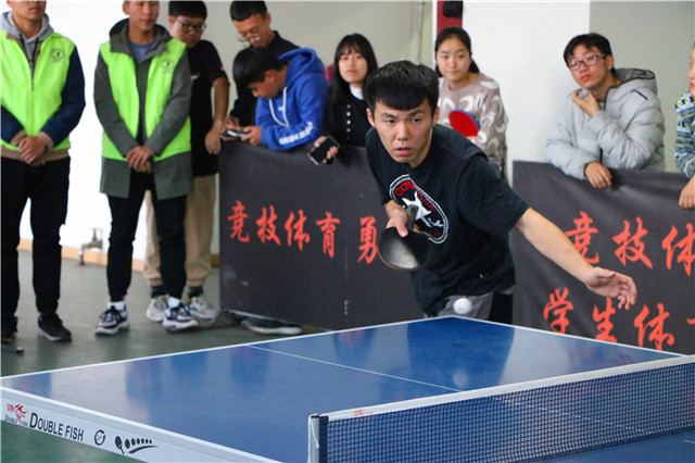 【信院力量·体联】学生体育联合会11月特色亮点活动回顾