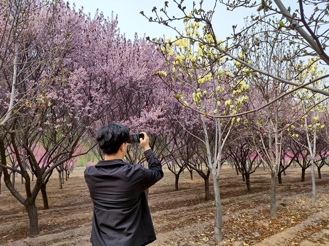 【完满班级】“探索春天的奥秘”摄影活动——软件1801班完满班级活动
