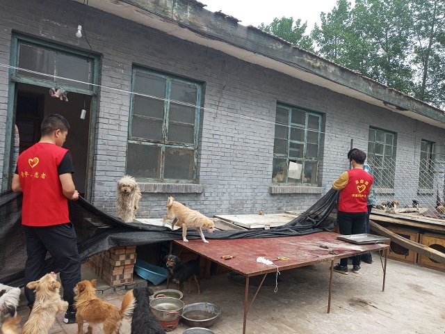 【完满班级】敬万物生灵至微 养行与善之永德——食品与环境学院城规1701班完满班级活动