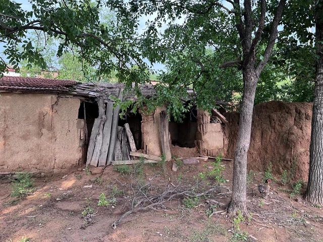 【三下乡】乡村振兴在振心 基层连线走当时——远景学院暑期“三下乡”活动