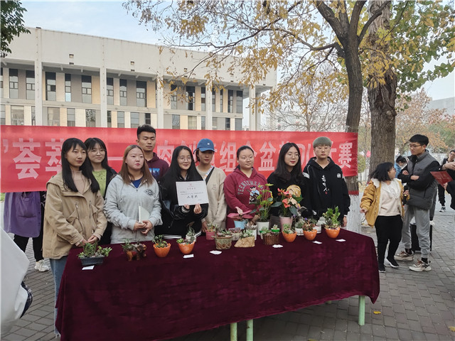 走进多肉 领略自然——“群‘肉’荟萃”多肉创意组合盆栽DIY大赛