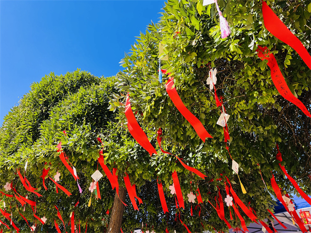 【迎新纪实】一见倾“新” 淬炼满怀爱意只为你来——淬炼·国际商学院迎新实录