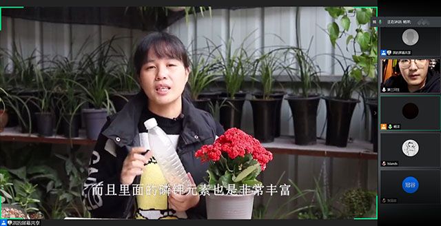 【完满班级】构建生态文明 培养绿色意识——视觉1801班“暗香疏影 锦团花簇”线上宣传教育主题班会